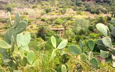 Kultūršoks - patiesība vai mīts