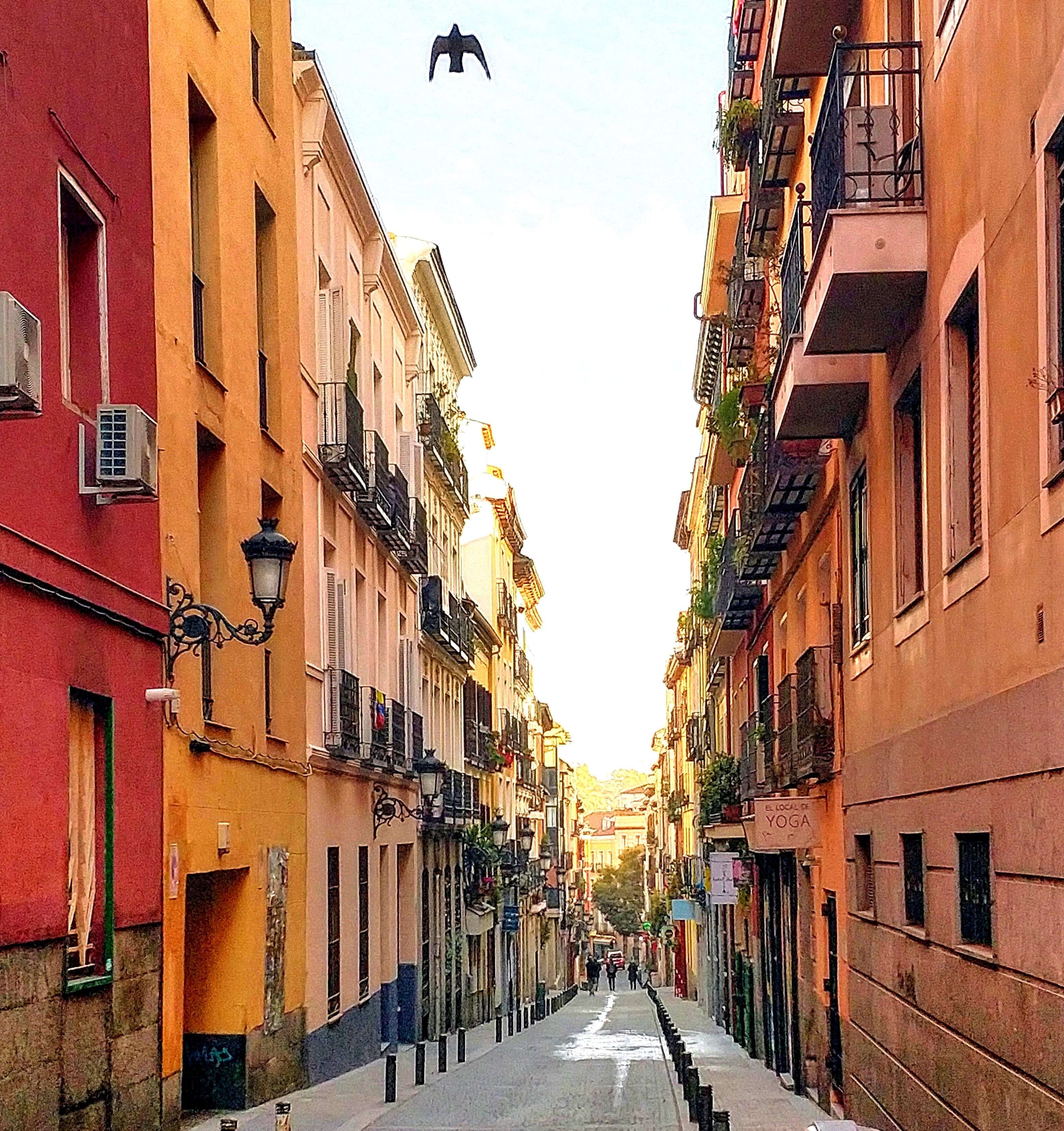 Korona vīruss Madridē, Spānijā